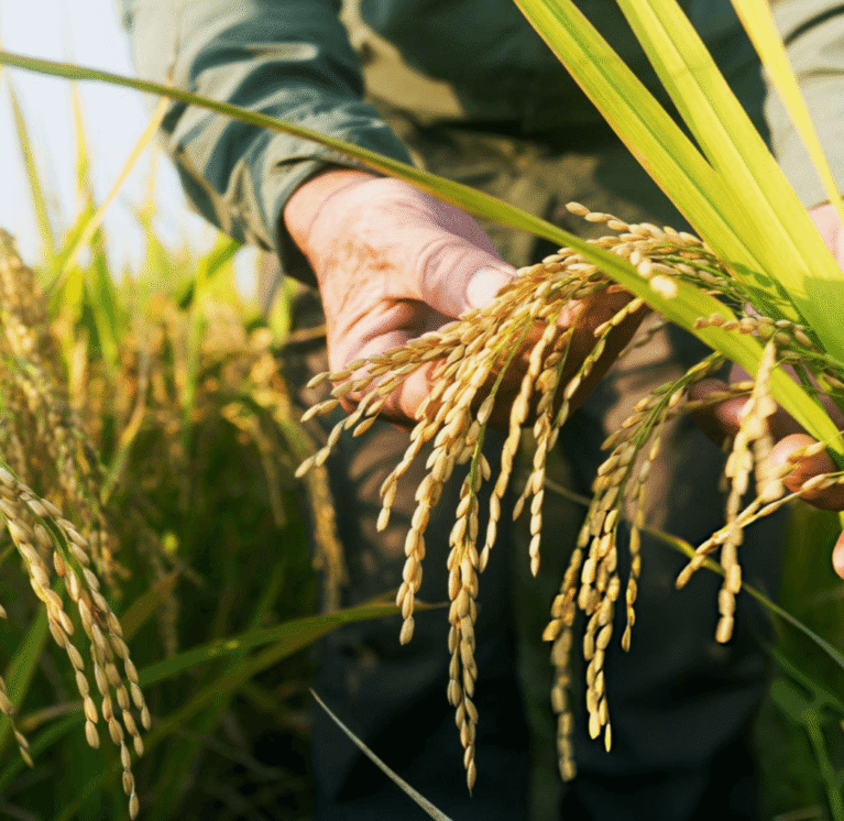 আমাদের সম্পর্কে